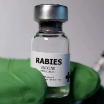  Rabies Vaccine